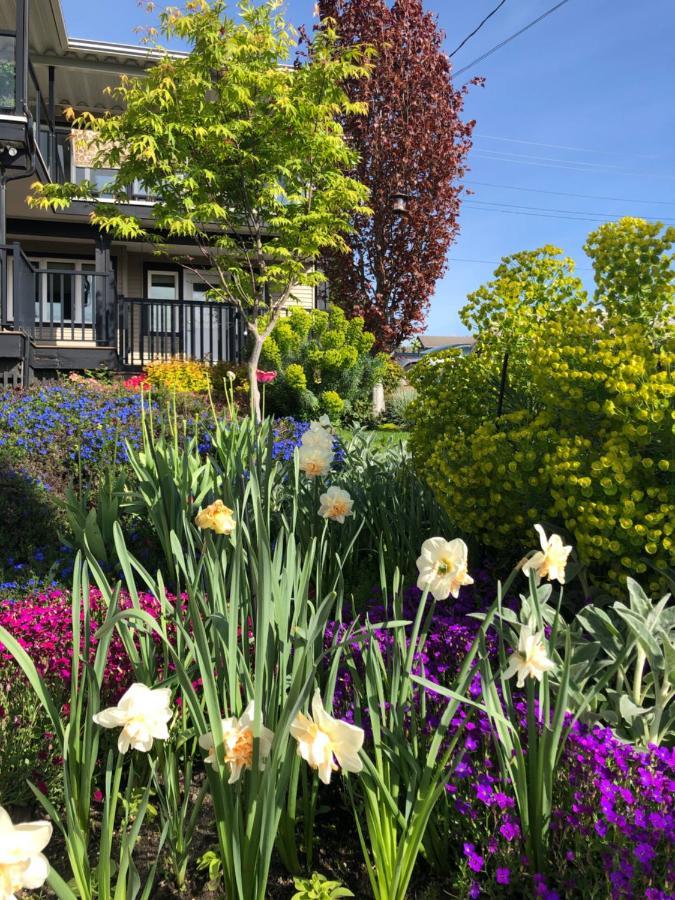 Lovely J Home -Stunning River View Cozy Two Bedroom Private Suite Нью-Вестминстер Экстерьер фото